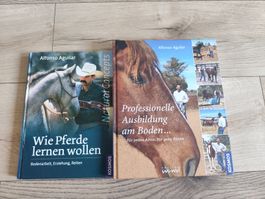 Pferde Bücher