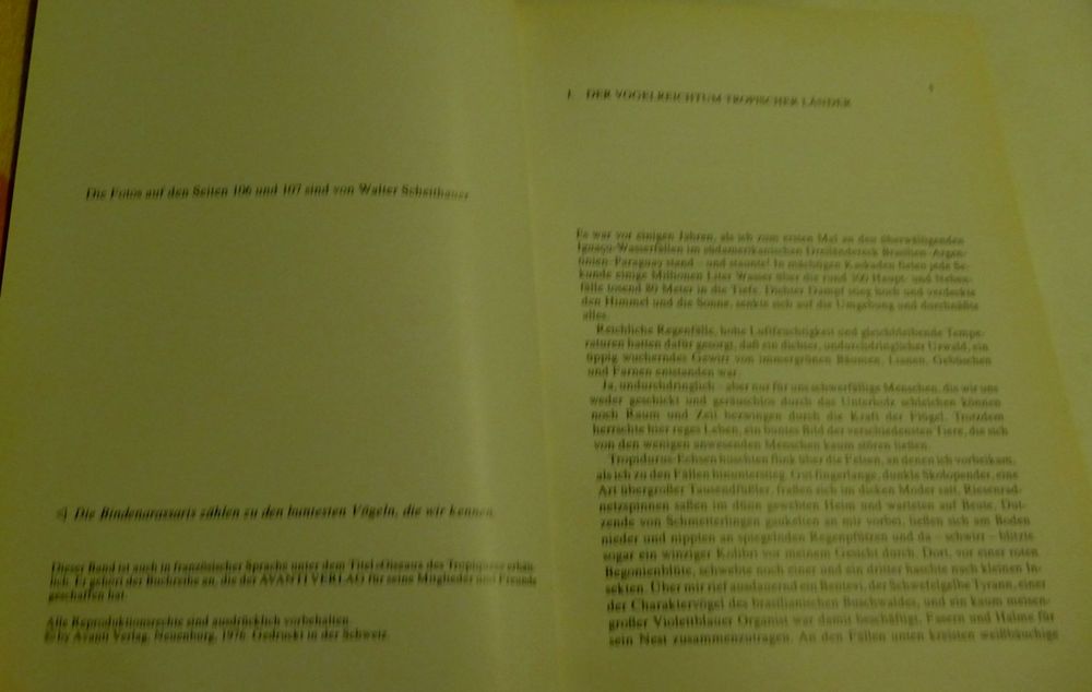 Buch 4