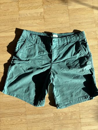 Esprit Turquoise Shorts, Size 38