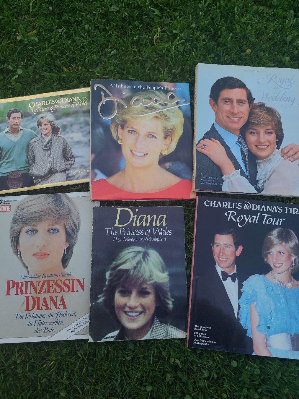 Libri: Princess Diana Books Collection – Usato da Mägenwil venduto da VintageGirly