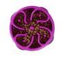 Napf "Slow Feeder" purpel