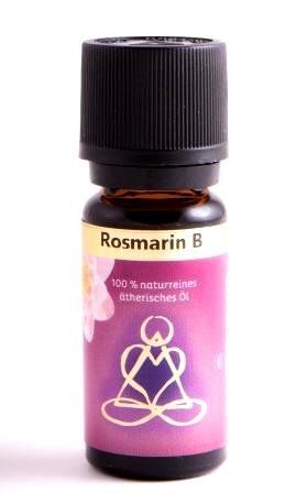 Oli essenziali: Rosmarin bio 10 ml - ätherisches Öl – Nuovo e nell'imballaggio originale da Mauren venduto da Yeelen