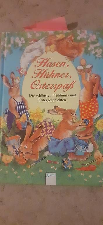 Libri: Bastelbuch, Frühling, Hühner – Usato da Wabern venduto da walsn1 1