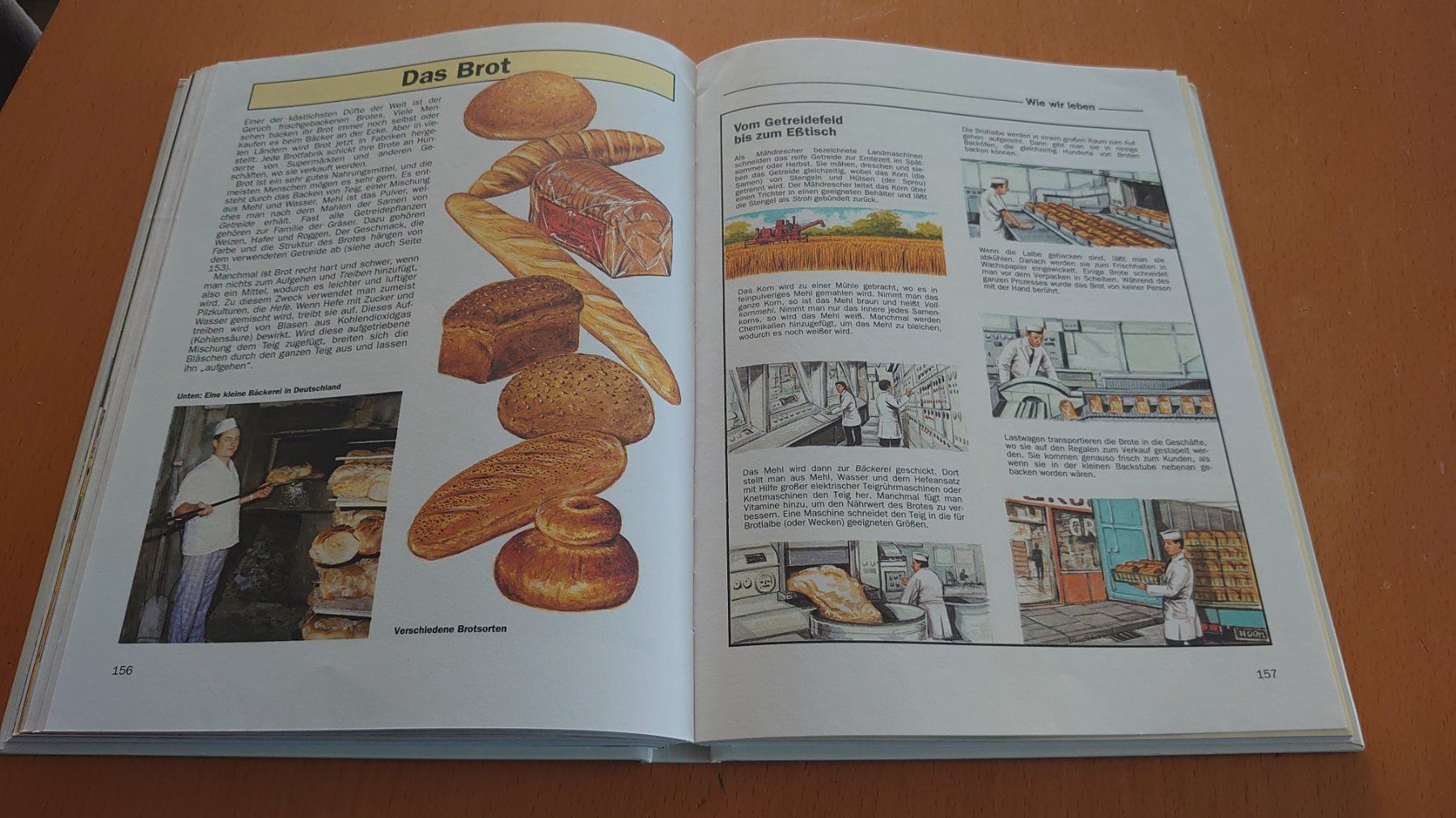Libri: Jugend-Enzyklopädie – Usato da Kirchberg BE venduto da Myford 6