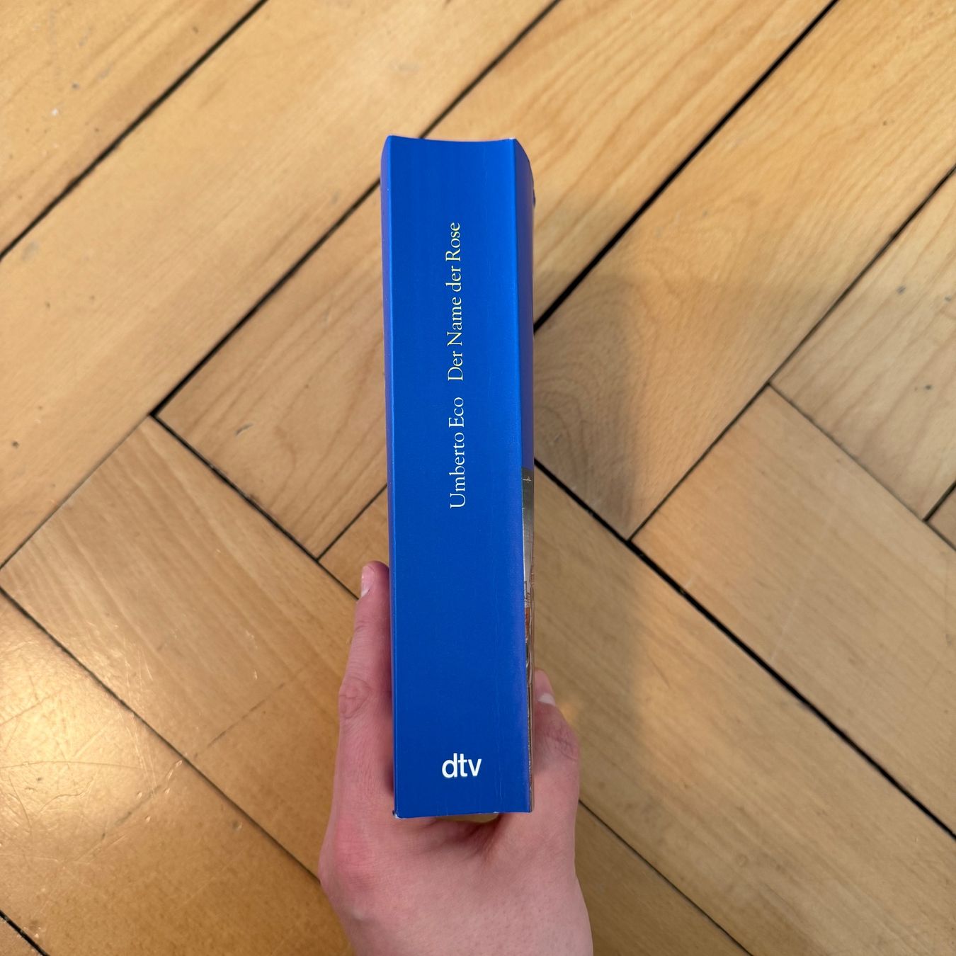 Libri: Umberto Eco - Der Name der Rose – Usato da Luzern venduto da philippbrl 3