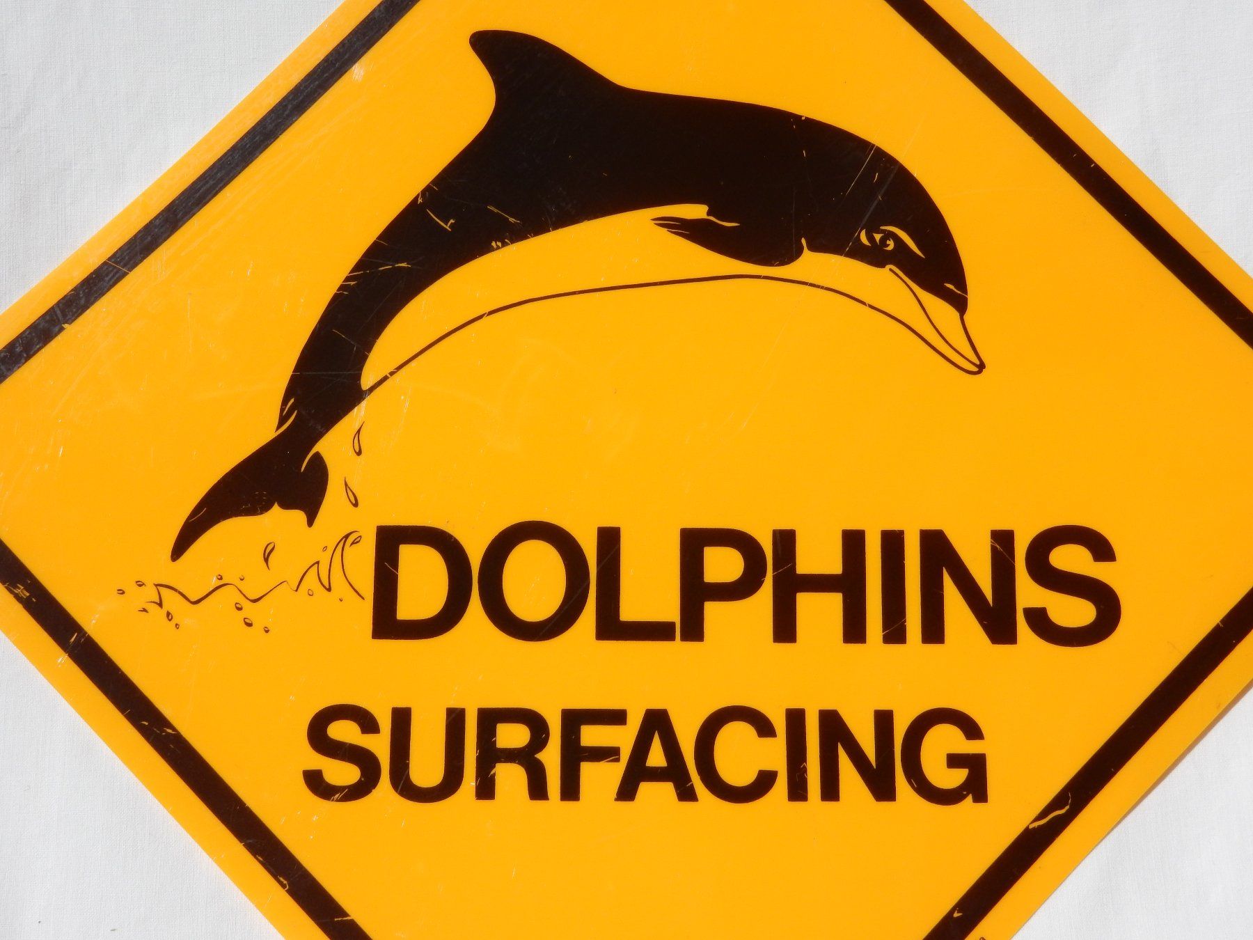 Insegne: **GROSSES AUSTRALISCHES SCHILD "DOLPHINS SURFACING"** – Usato da Zürich venduto da Holzbolzen 1