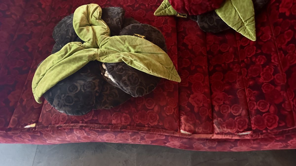 Sofas: Sofa von Bretz – Gebraucht aus Neuenegg von JO-RAY 1