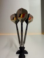 Target Dimi Van den Bergh Darts 23 g