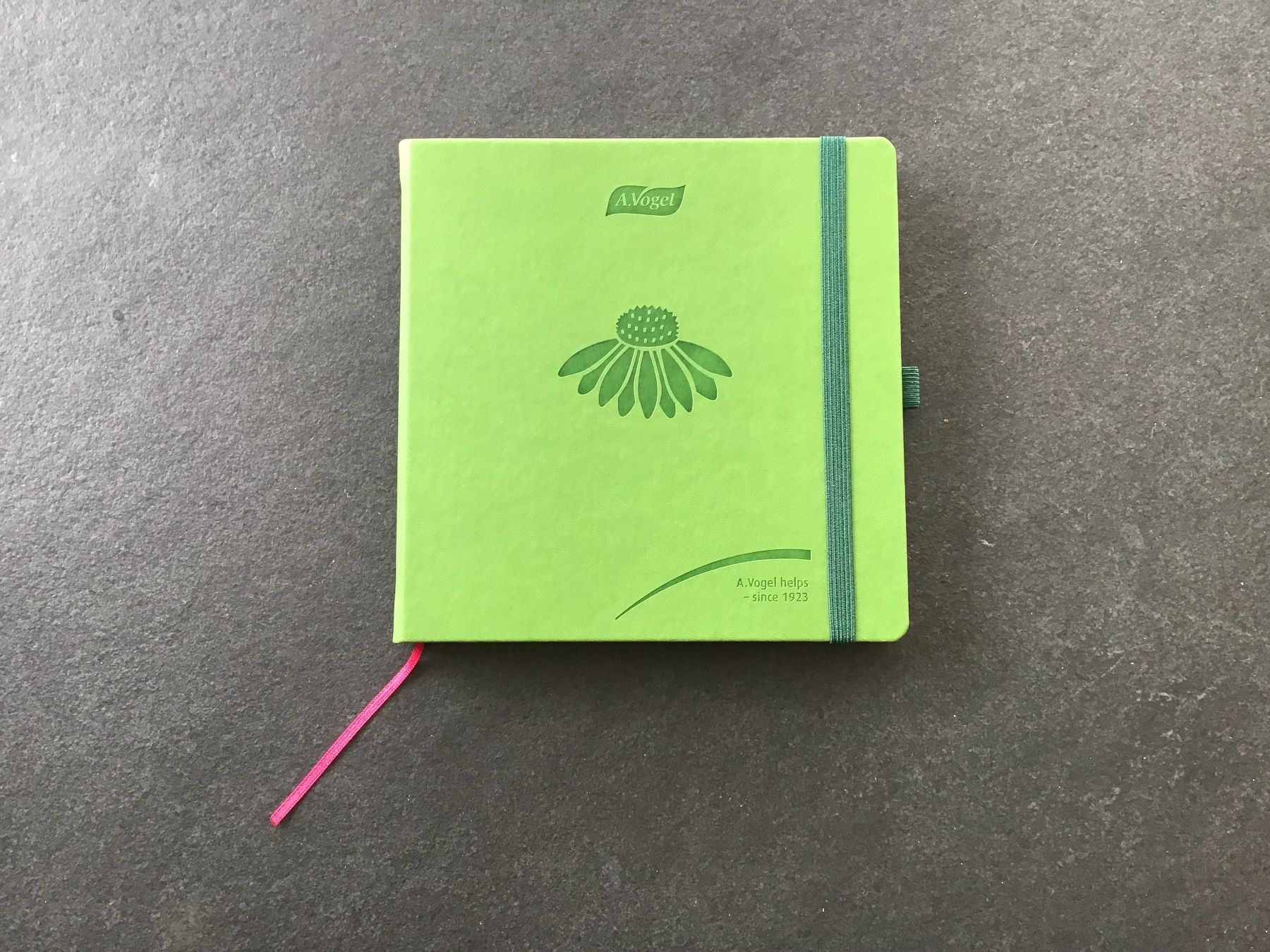 Libri: Notizbuch gebunden – Nuovo e nell'imballaggio originale da frasnacht venduto da swimm02
