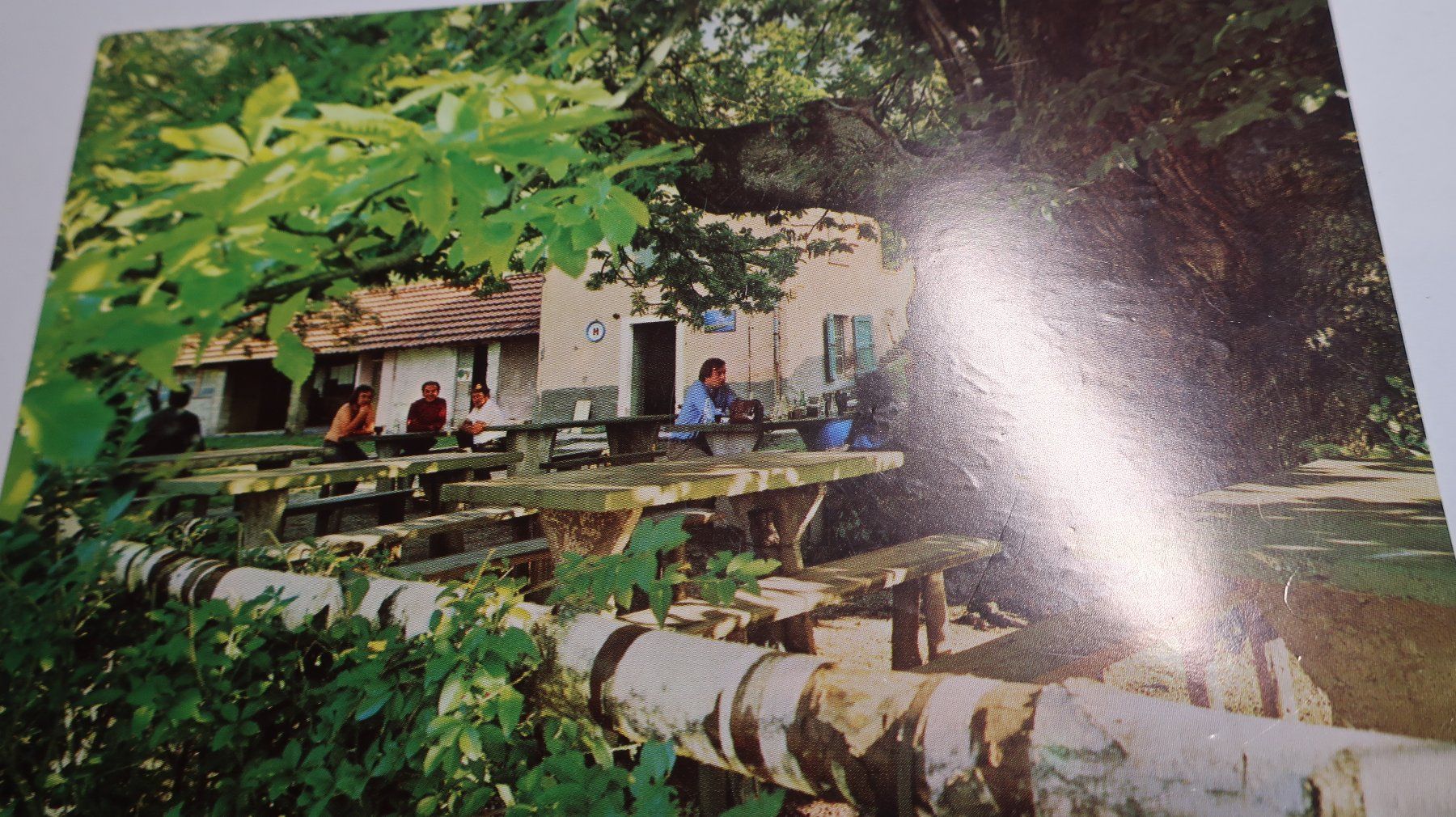 Cartes postales: Trattoria Alpe di Brusino – D'occasion à Cormoret par Pascalll2001 2