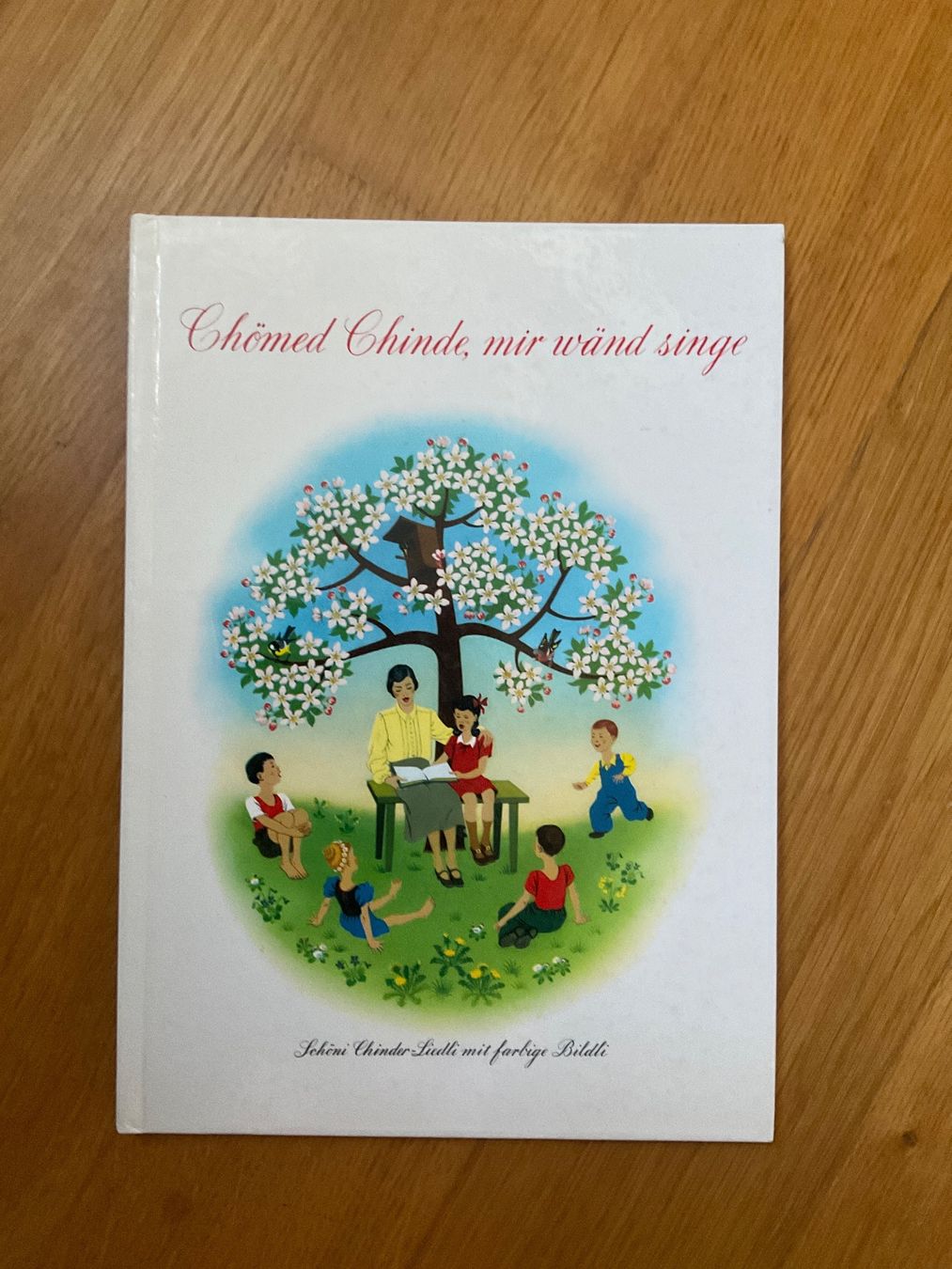 Libri: Chömed Chinde, mir wände singe Kinderbuch – Usato da Dinhard venduto da R.B.G23