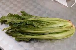 Bourrache var. MOVERA ( culinaire ) 20g