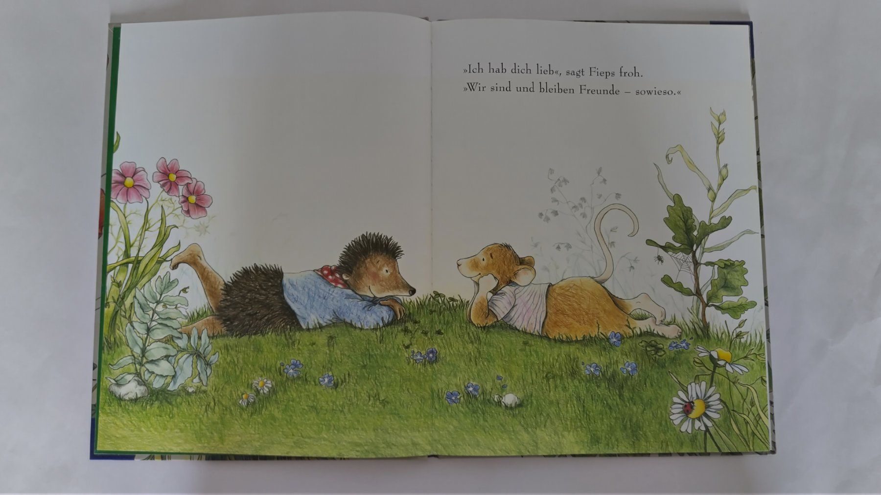 Libri: Wo bist du? / Bilderbuch 2004 ab Fr. 8.- / 2 Anfänge – Usato da Bellach venduto da JingleJerry 5
