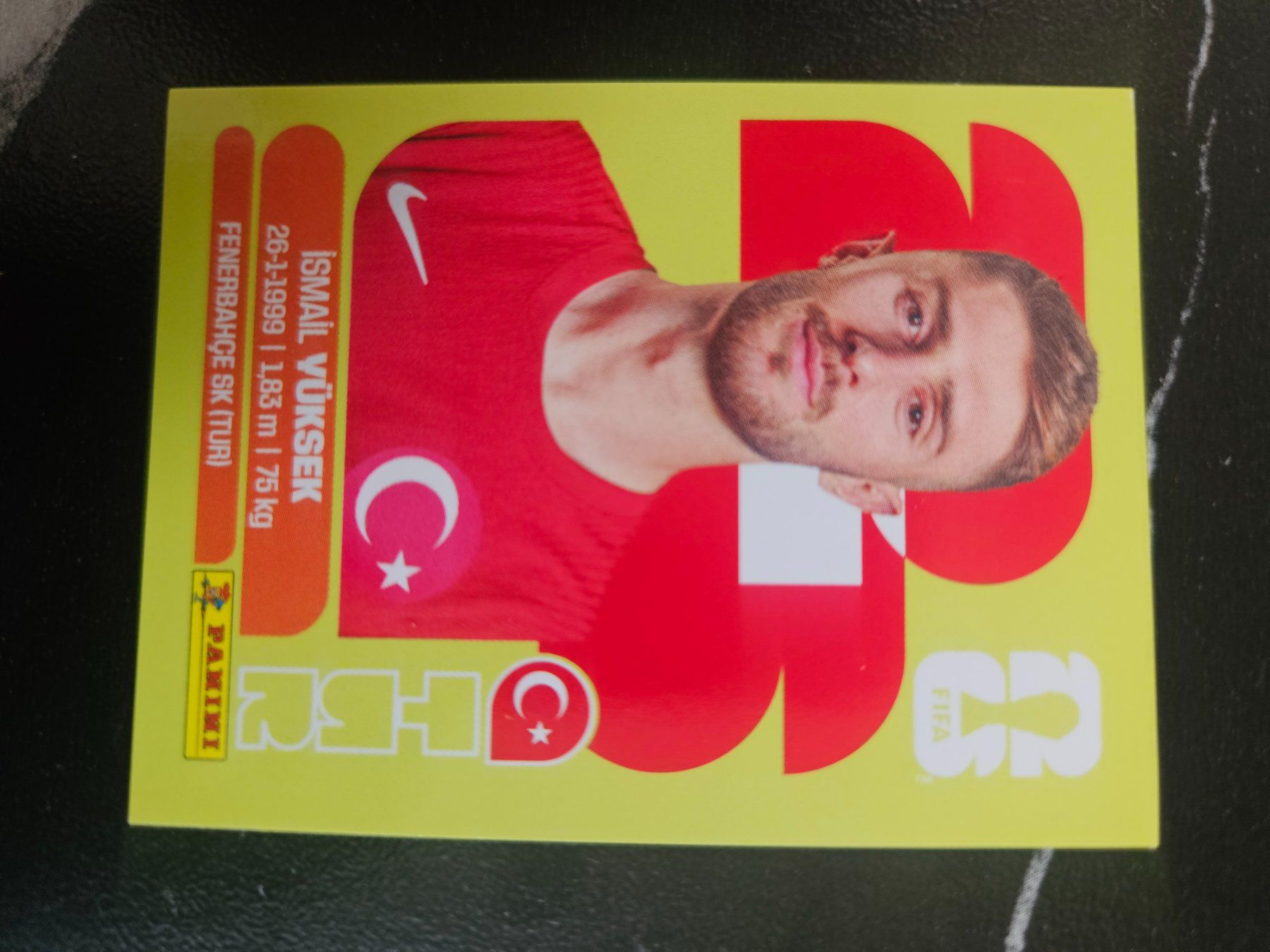 Panini Cartes à collectionner: TUR 10 – D'occasion à Würenlingen par Dinli