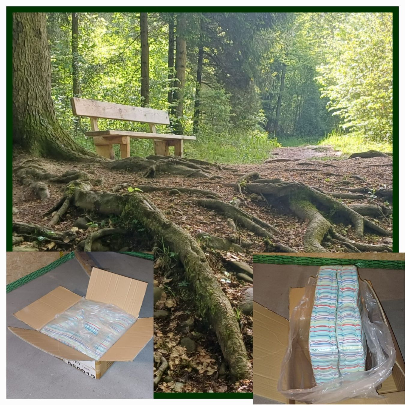 Cuscini: Coussin Longe palettes/set à 2 Pce.oder Perfekt zum Sitzen! – Nuovo e nell'imballaggio originale da Payerne venduto da jea_m6nb