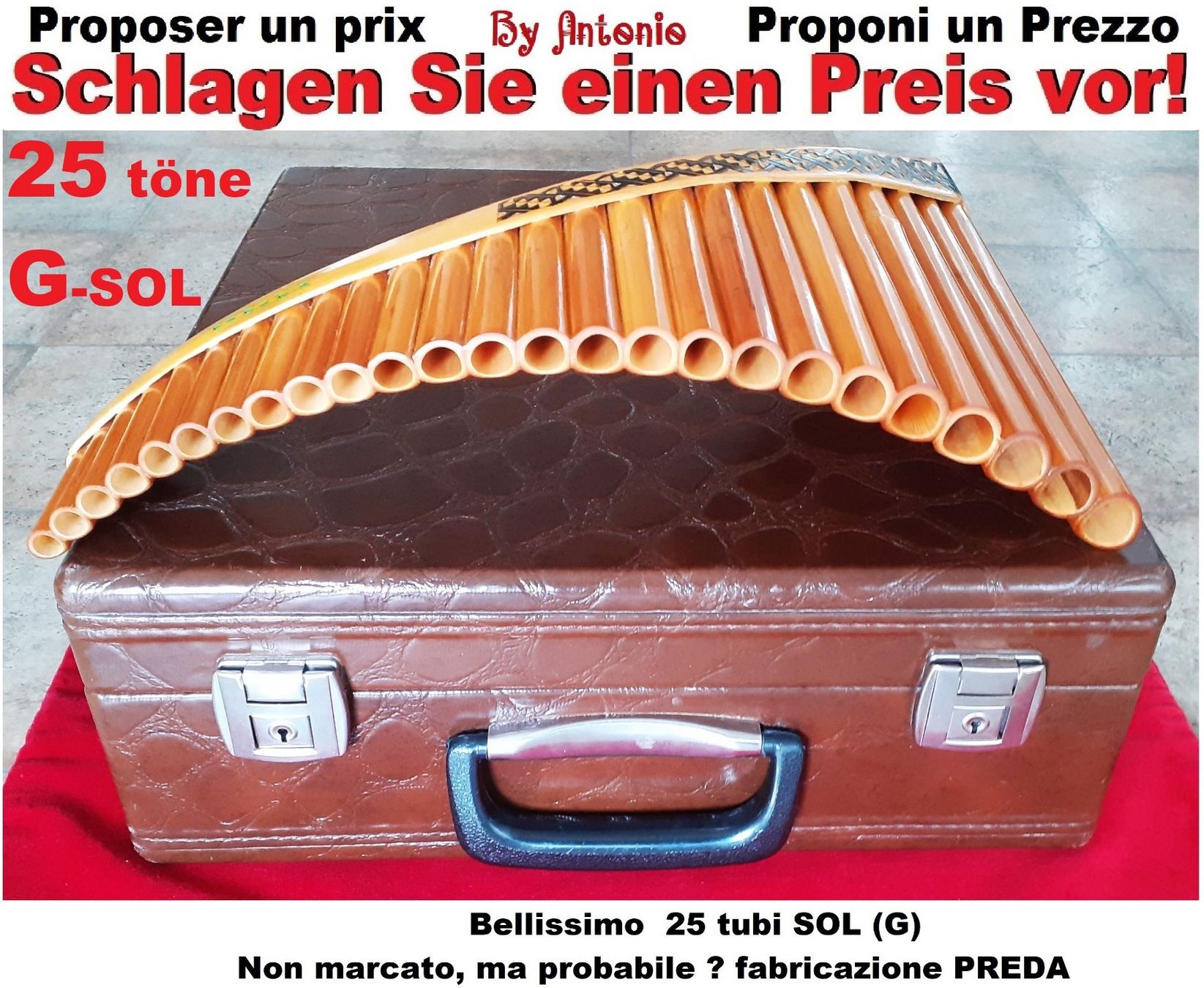 Strumenti musicali: BELLISSIMO Panflöte 25 tubi SOL(G)come PREDA? – Usato da Locarno venduto da Antonio41