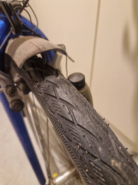 Vélos: City Bike – D'occasion à Liebefeld par Micha555 2
