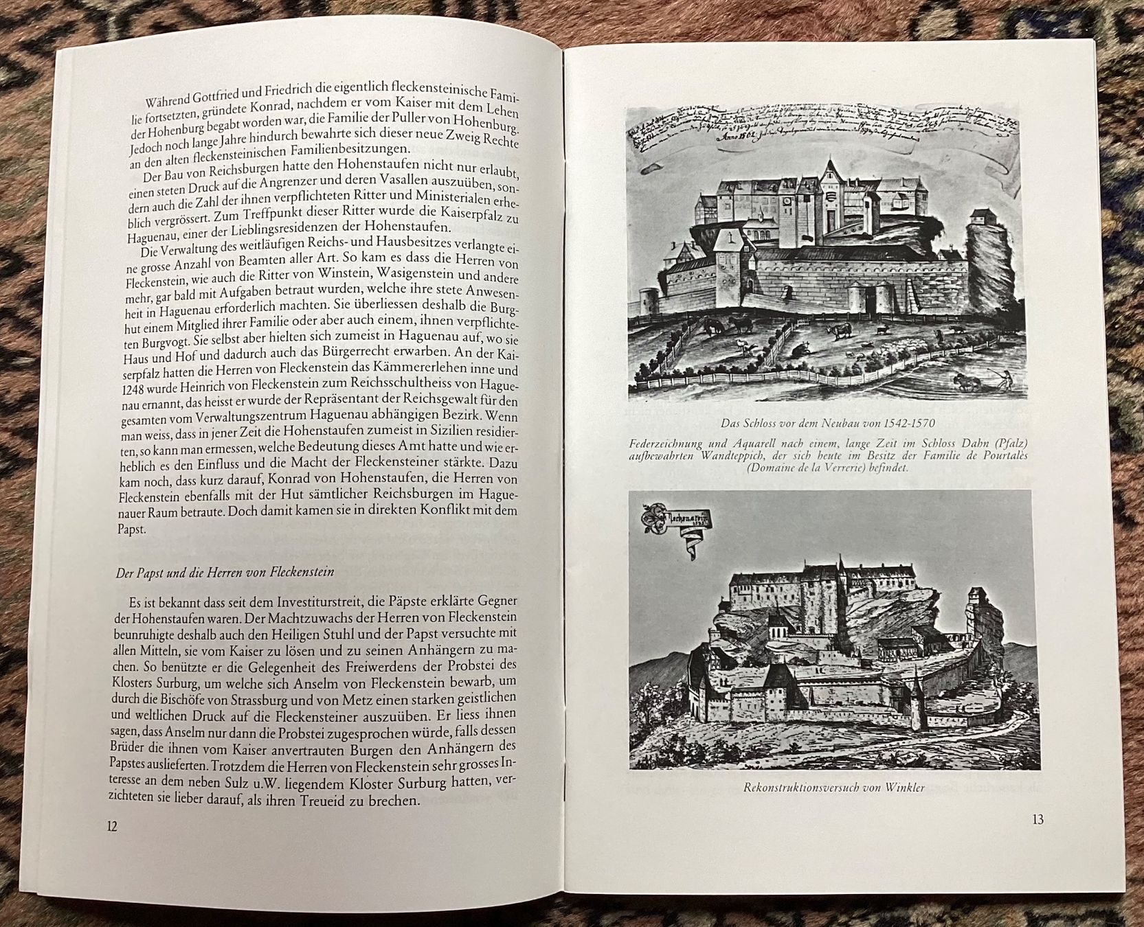 Libri: Burg Fleckenstein – Usato da Reinach BL venduto da Linda013 7
