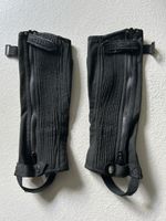 Chaps Steeds Gr KS