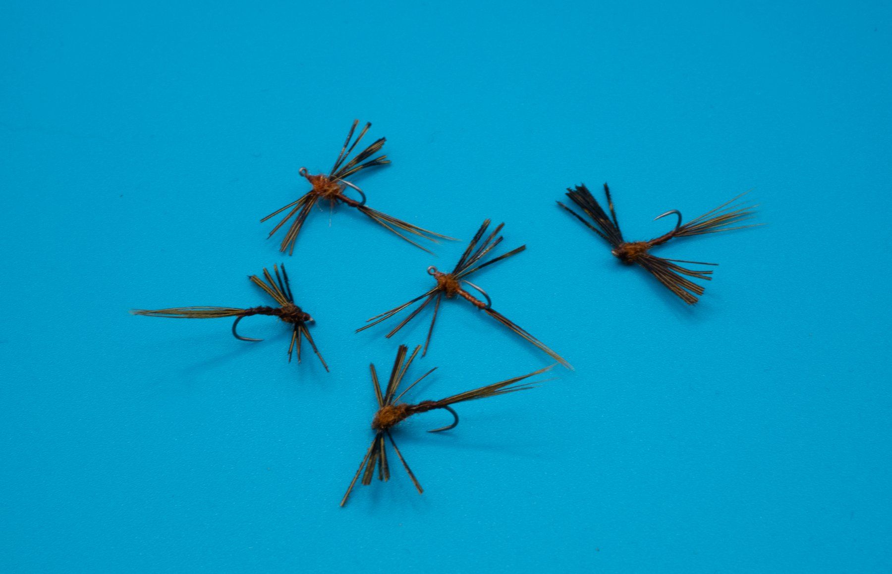 Köder: 5 Spent – Neu (gemäss Beschreibung) aus Grenchen von firefly2000 4