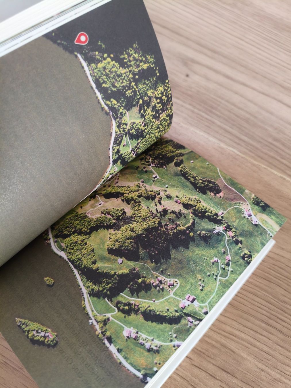 Bücher: Schweizer Wunder – Thomas Widmer – Gebraucht aus Schaffhausen von philscardstore 4