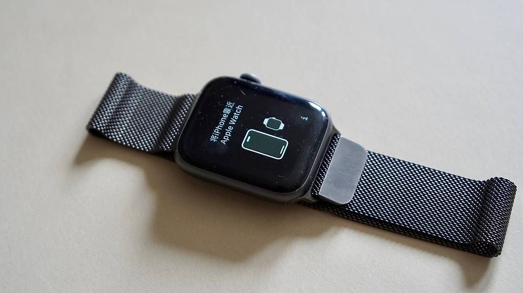 Apple Smartwatch: Apple Watch Series 5 Milanese – Gebraucht aus Zürich von Leonturtle 2
