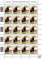 Bogen Europäischer Braunbär**