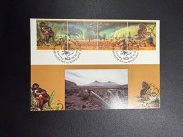 UNO Wien Maximumkarte Nr. 21 Umwelt-Klima 1993