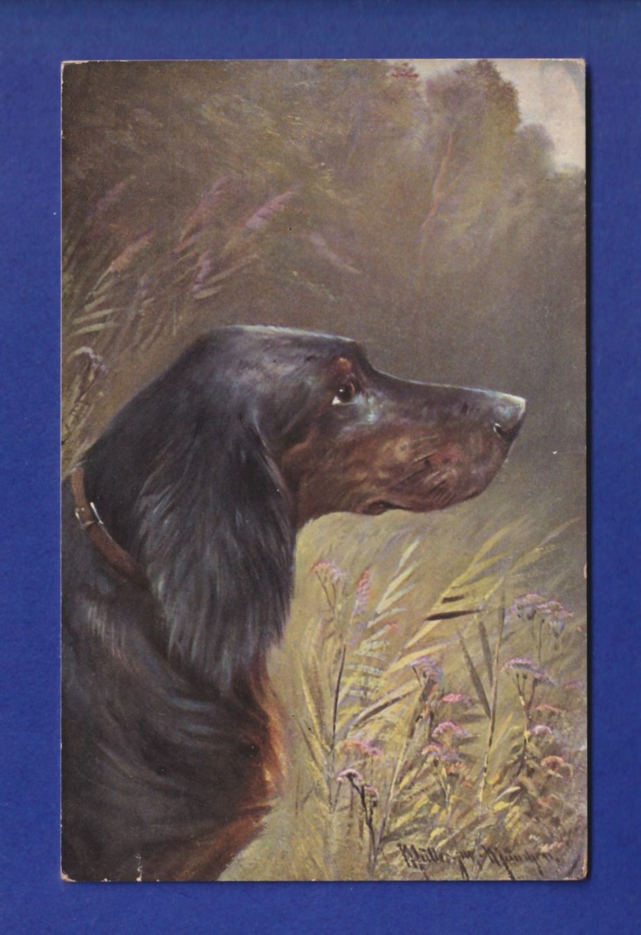 Cartoline postali: CHIEN / HUND – Usato da Pully venduto da nicecards-shop