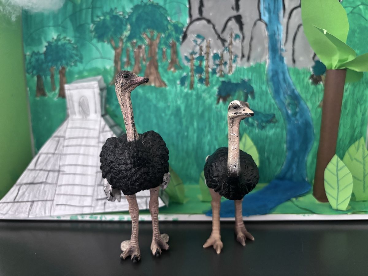 Schleich Giocattoli: Schleich Tiere – Usato da Düdingen venduto da Twinkel82 3