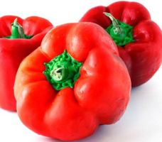 Ab 5.- fr !!! 20 Samen Susse Paprika ROT‪‪‪