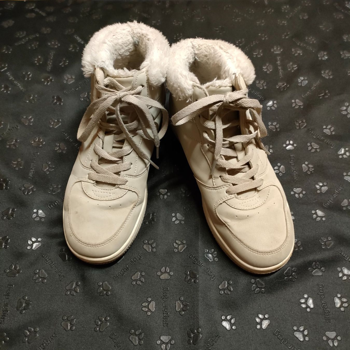 Scarpe da donna: Schuhe Gr.38 Lejon – Usato da Adelboden venduto da Lammhult