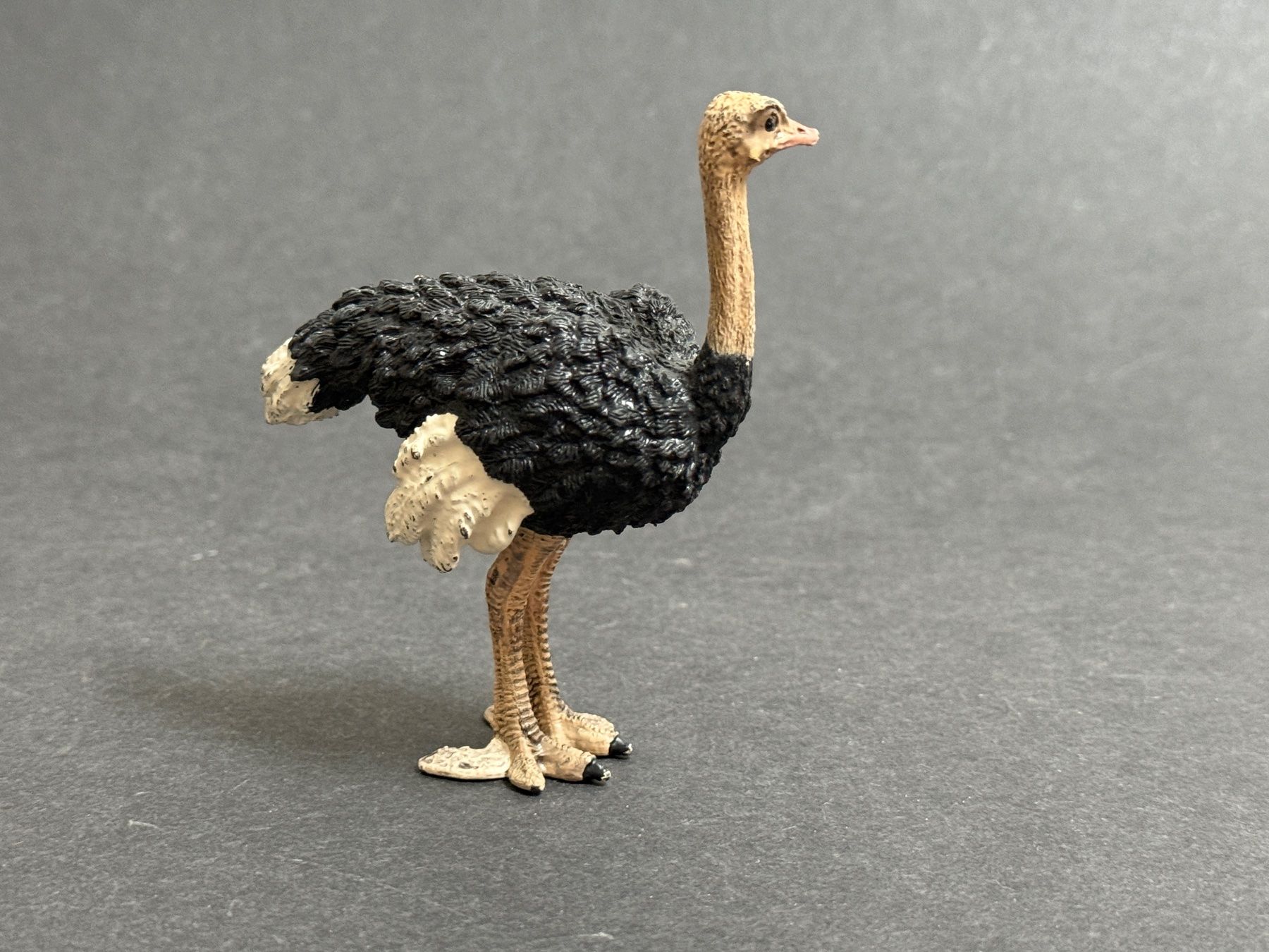 Schleich Statuette: Schleich Strauss Straussenmännchen – Usato da Ennetbaden venduto da mapa05 5