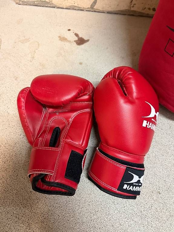 Sacchi da boxe: Boxsack mit 2 Handschuhen – Usato da Zürich venduto da mic_2fww 1