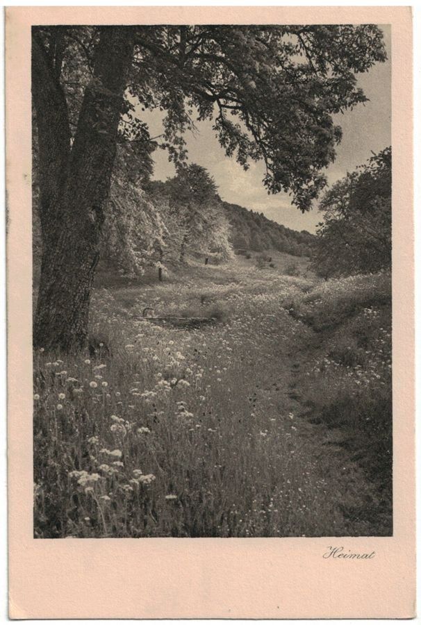Cartoline postali: Feldpfad (Mischol), um 1920 – Usato da Frauenfeld venduto da POML
