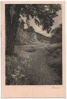 Feldpfad (Mischol), um 1920