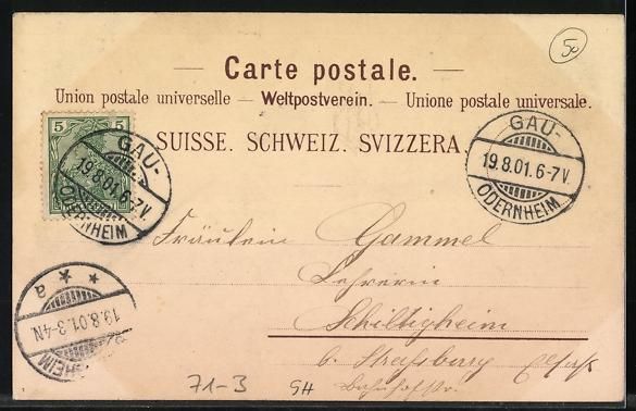 Cartoline postali: Litho Rheinfall, Wasserfall bei Vollmond – Usato da Berlin venduto da bartko-reher 1