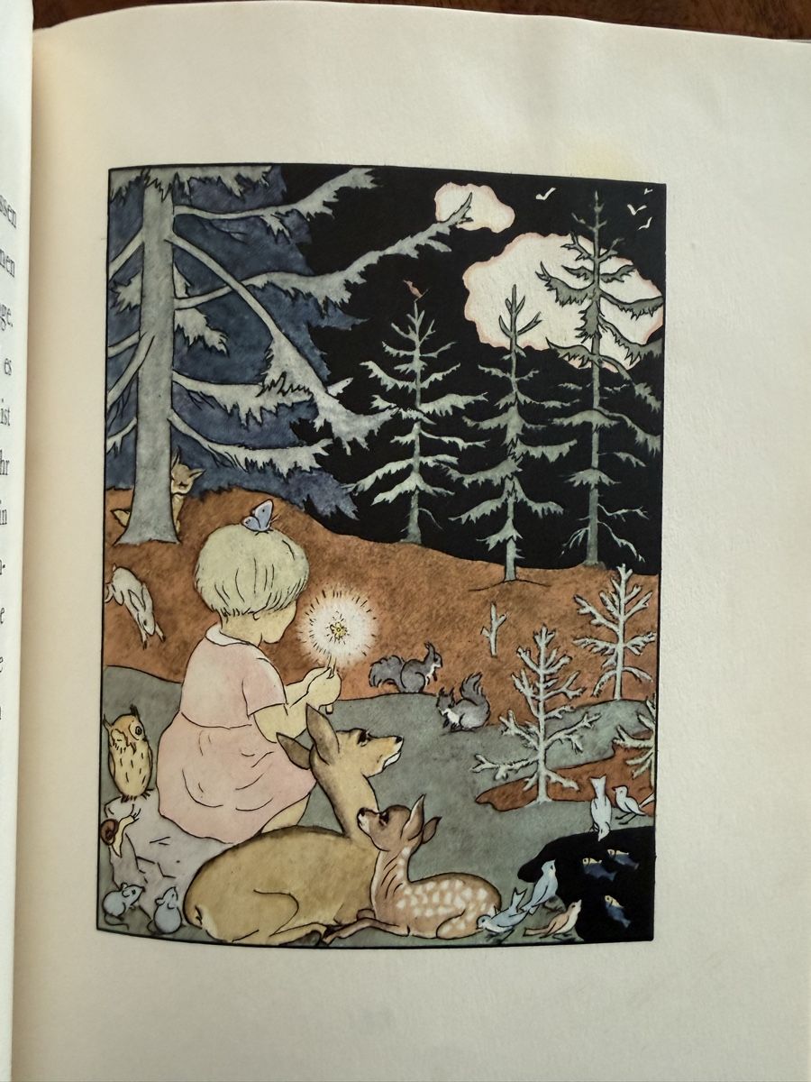 Libri: Silvelis Wunderlämpchen, Hedwig Thoma, Kinderbuch, 1941 – Usato da Weisslingen venduto da Jannaki 6