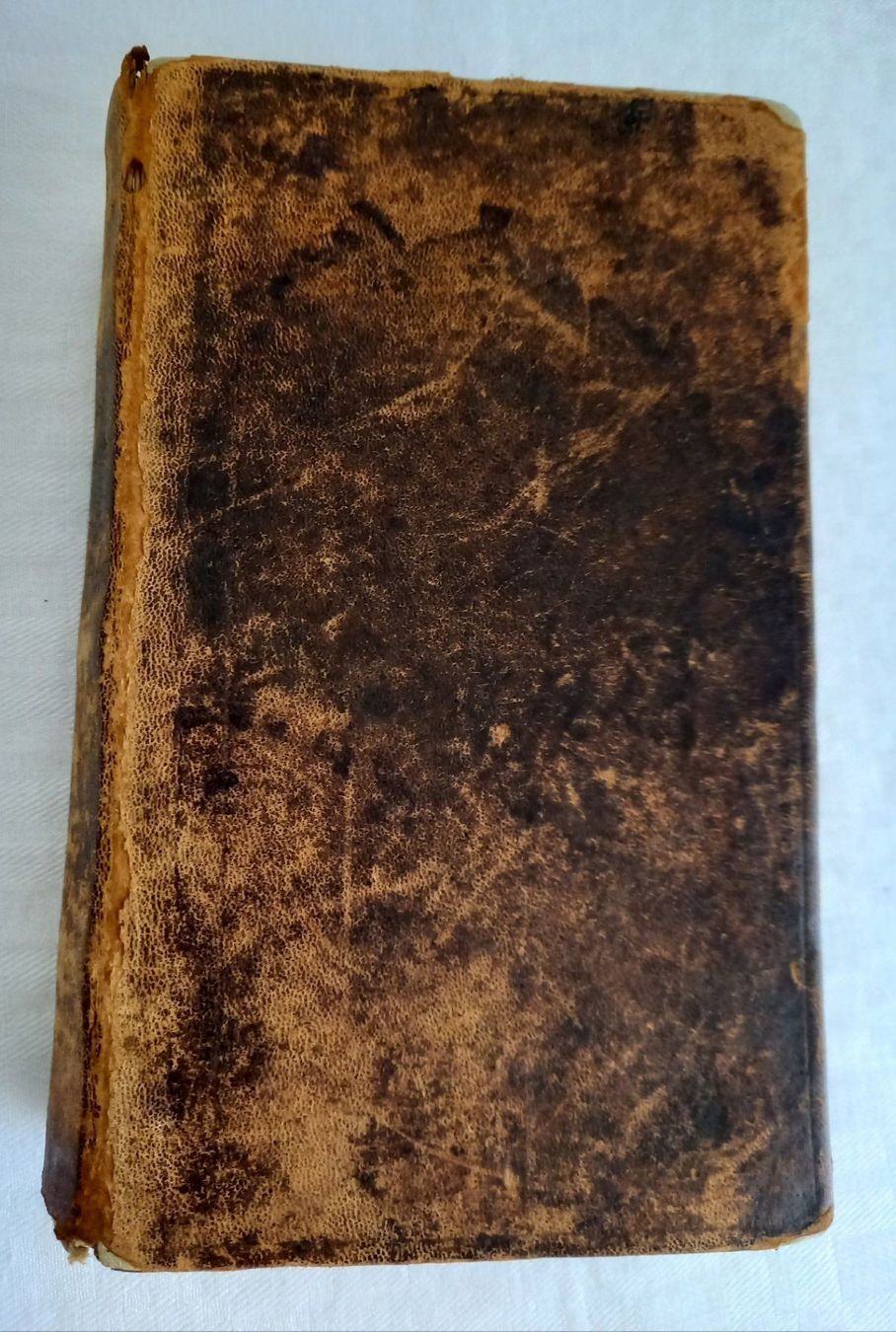Bücher: Die Bibel - 1849 – Gebraucht aus Binningen von mar_2jlr