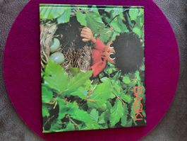 BASKI Kinderbuch, Bilderbuch, 1975, Schweiz, Sommerwiese