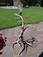 Echte Hirschgeweih Stehlampe