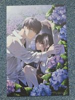 Lieb mich noch, bevor du stirbst Manga Artprint 11 sora
