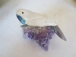 Vogel auf Stein