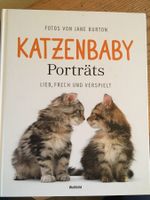 Katzenbaby Porträts