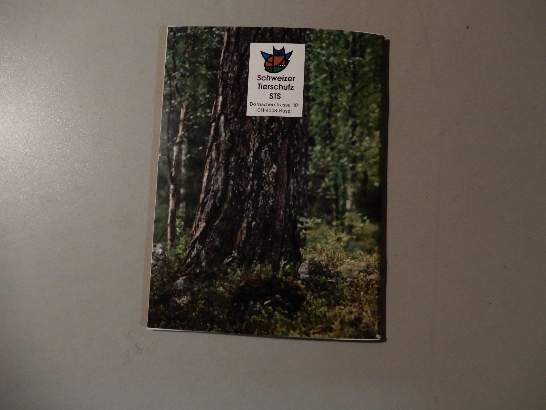 Libri: Bärenschicksal - Schweizer Tierschutz STS – Usato da Erstfeld venduto da Mario_boe0 9