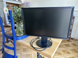 EIZO Monitor - 22” Zoll 