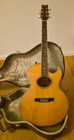 Original Washburn Gitarre