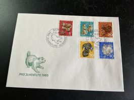 Ersttagsbrief Pro Juventute 1965 Bern gestempelt