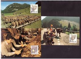 Maximum Karten Nr. 90