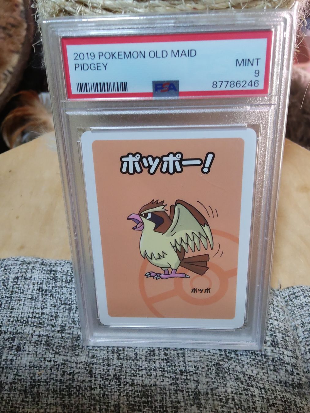 Pokémon Carte collezionabili: 2019 Pokemon old maid Pidgey PSA9 MINT – Nuovo (secondo la descrizione) da Vezio venduto da 41181